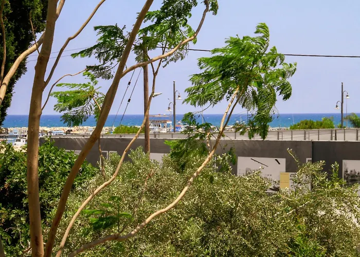 Piale Palms Makenzie Front Airport Area