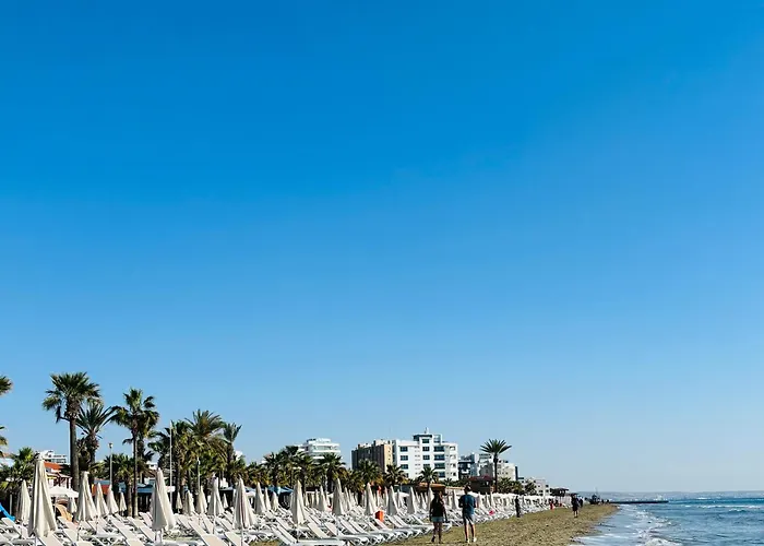 Piale Palms Makenzie Front Airport Area