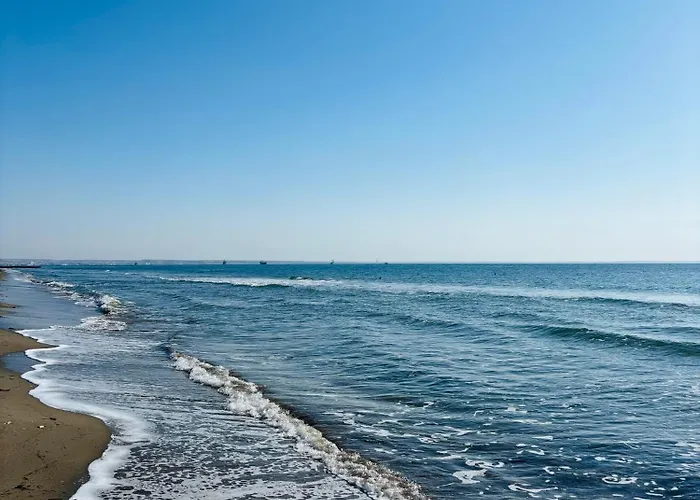 Piale Palms Makenzie Front Airport Area Appartamento