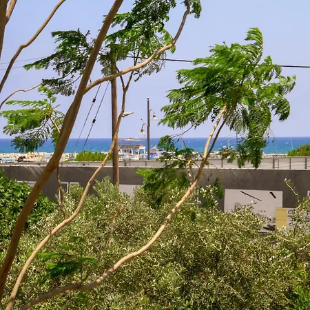 Piale Palms Makenzie Front Airport Area