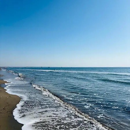 Piale Palms Makenzie Front Apartment, Daire