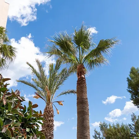 Апартаменты Piale Palms Makenzie Front Airport Area