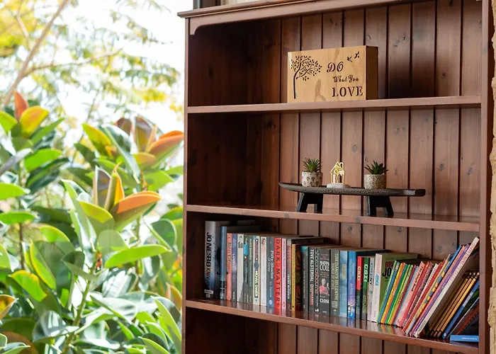 Piale Palms Makenzie Front Airport Area