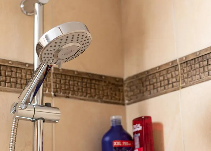 Piale Palms Makenzie Front Airport Area