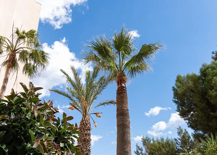 Апартаменты Piale Palms Makenzie Front Airport Area